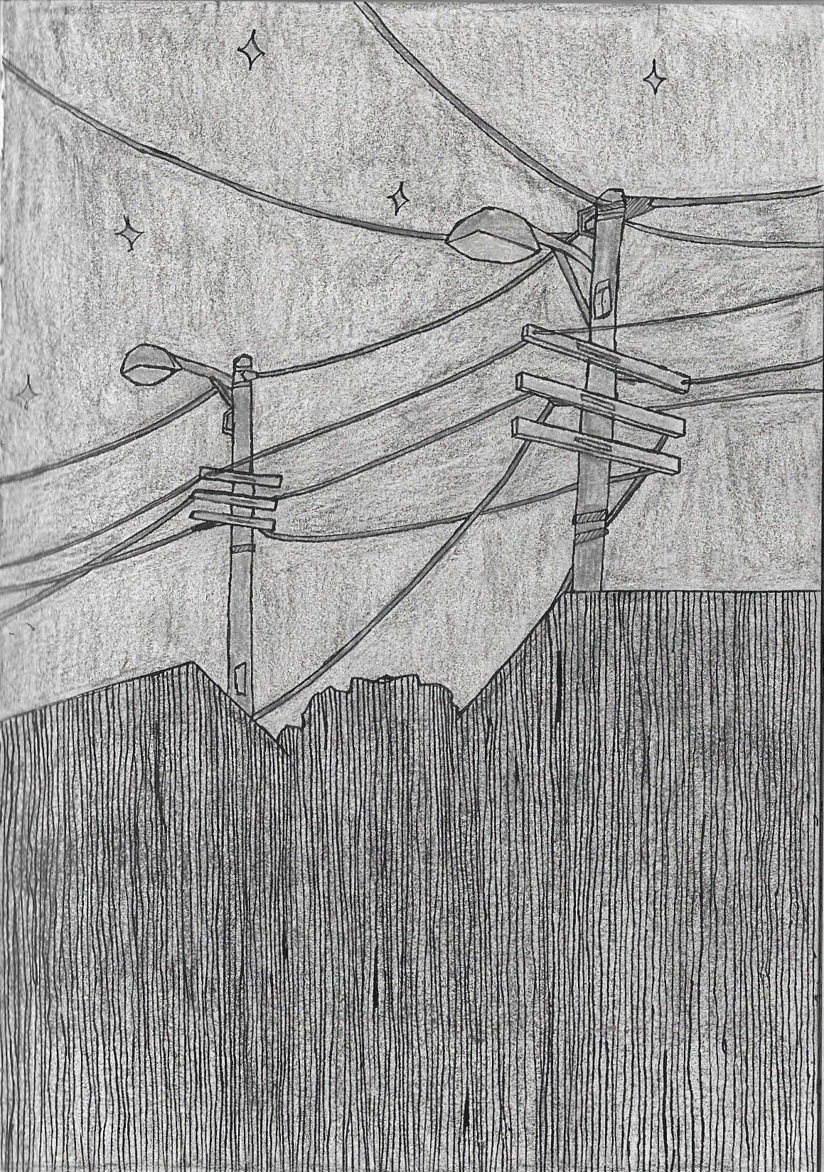 18/06/2023 - Night vision