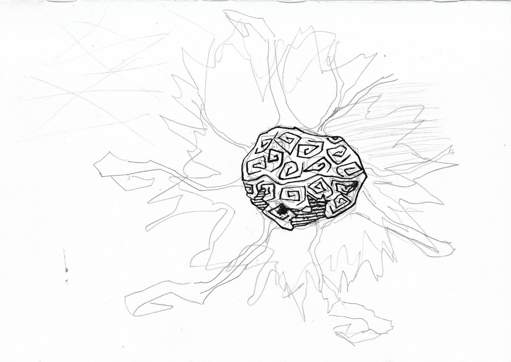 ??/??/2024 - brain (unfinished)