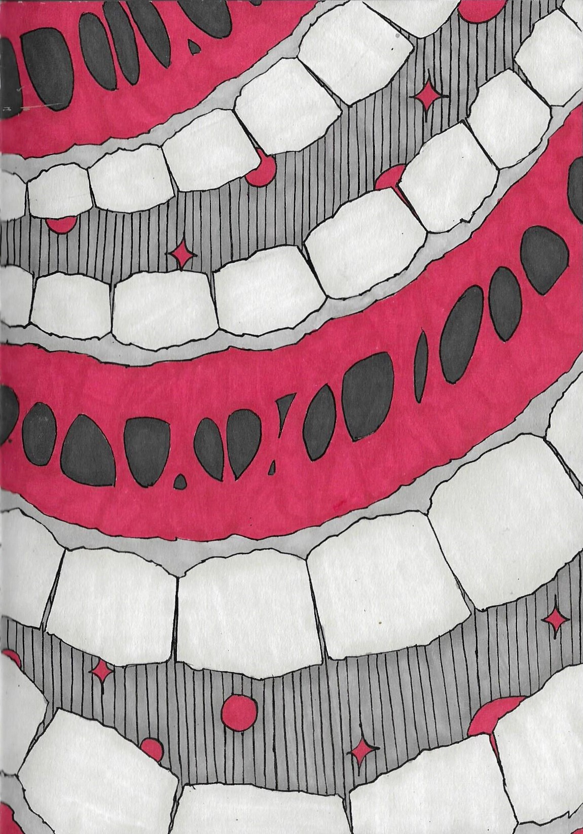 08/07/2025 - outside teeth