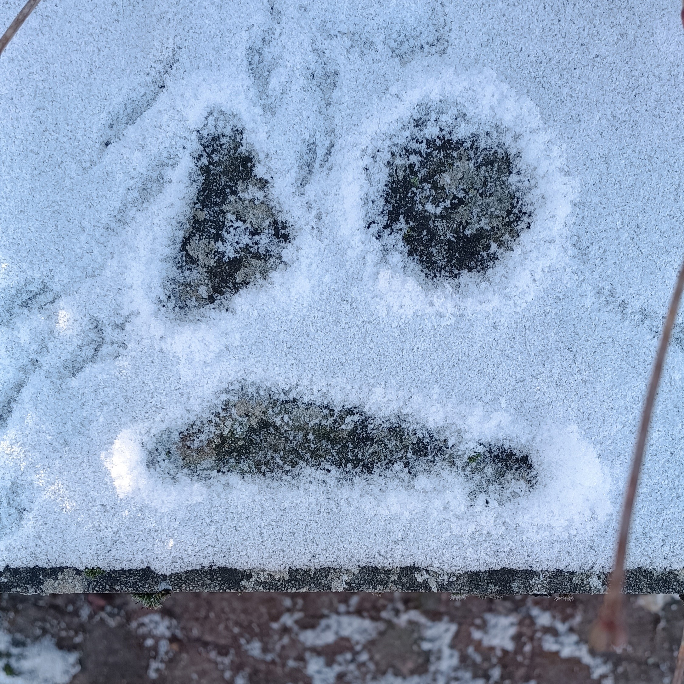 snow