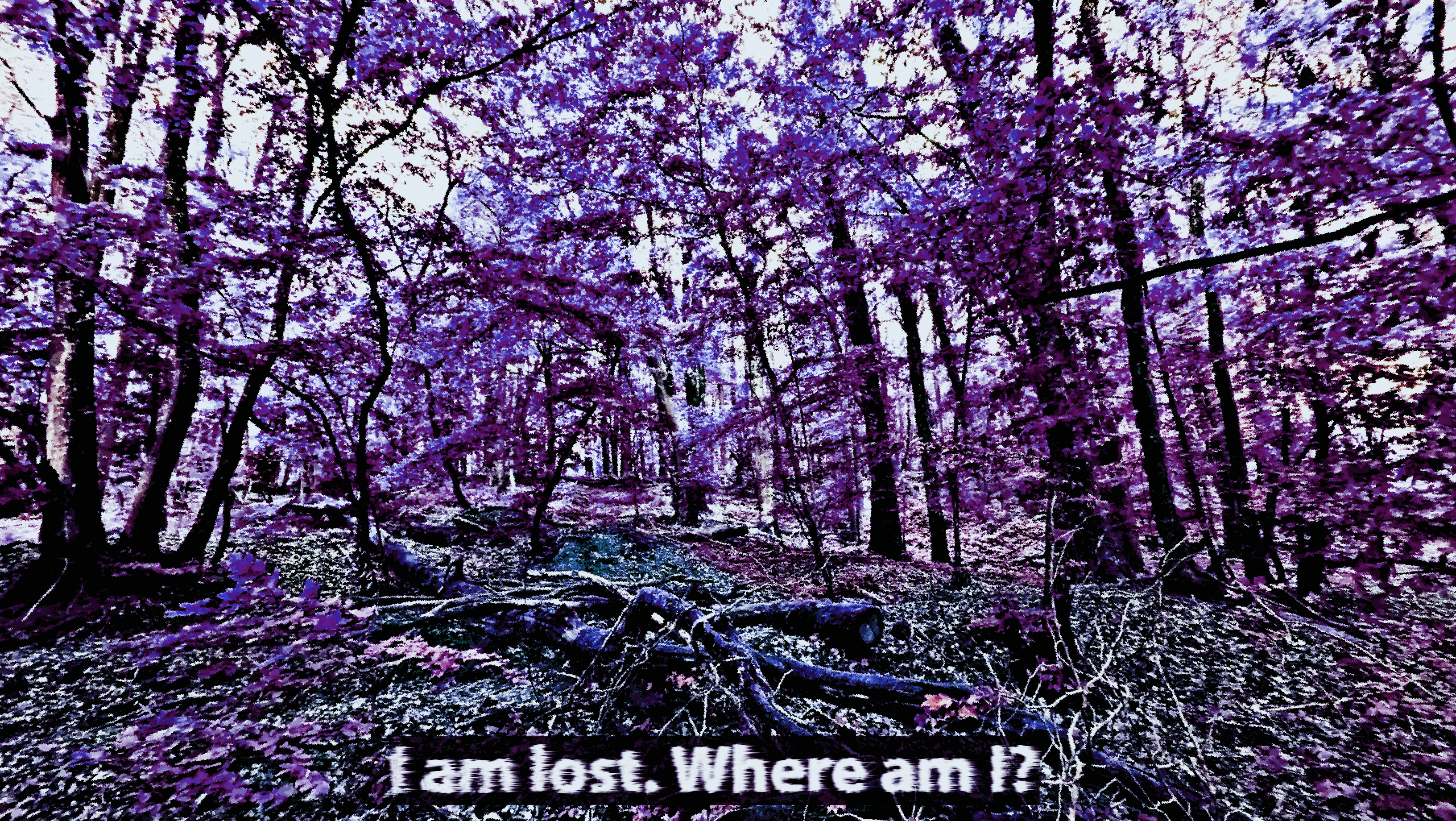 20/05/2025 - lost