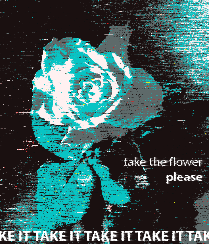 20/05/2025 - take the flower