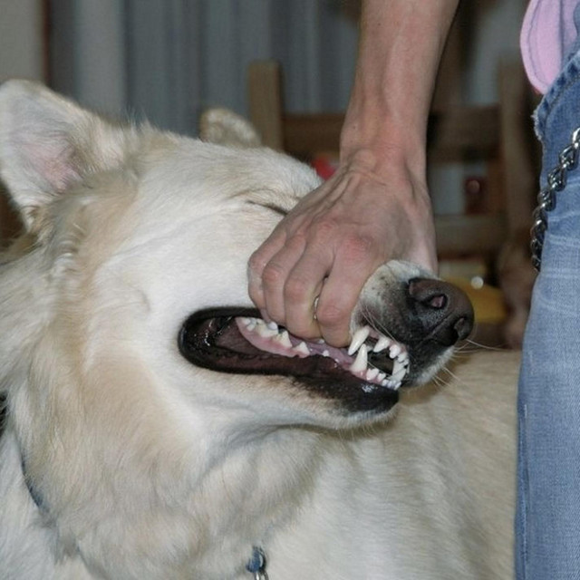Ado